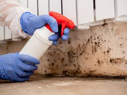 Reliable Columbia Heights, MN Mold Removal Services Solutions